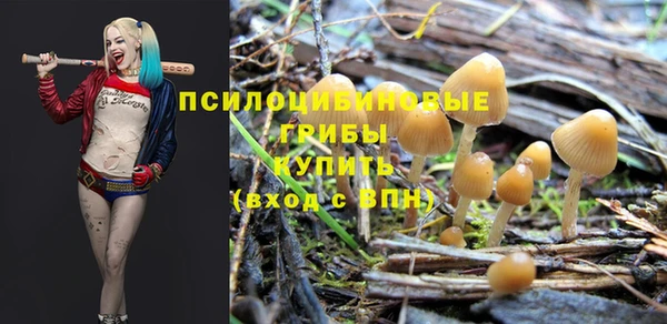 ешки Пролетарск