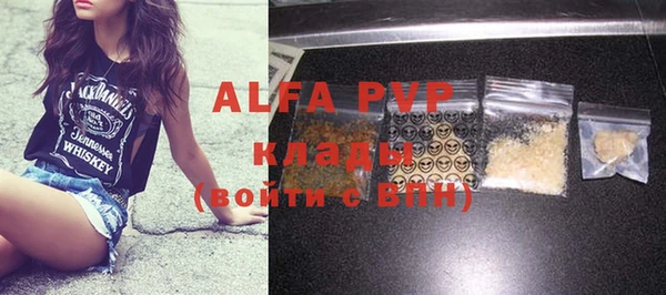 хмурый Алзамай