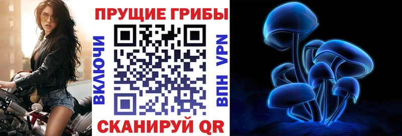 Галлюциногенные грибы мухоморы купить наркотик Котлас