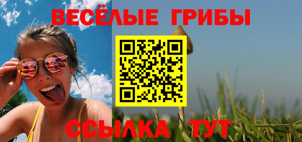 Псилоцибиновые грибы Magic Shrooms Котлас