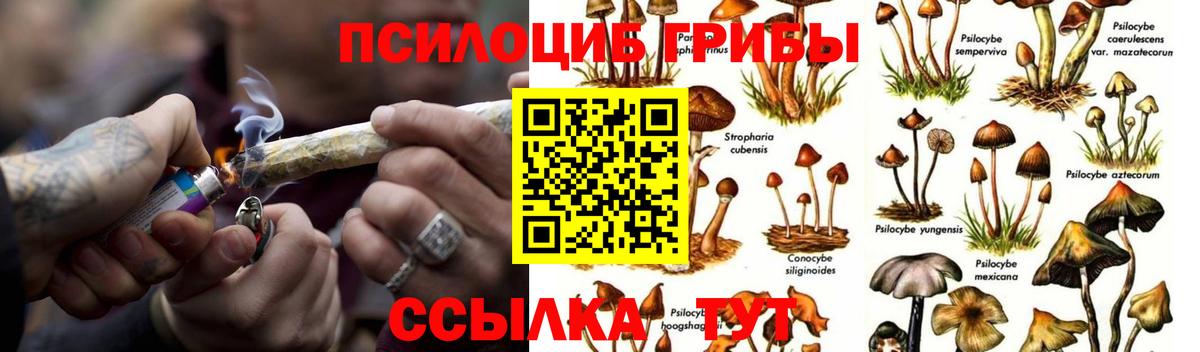 Котлас  Галлюциногенные грибы MAGIC MUSHROOMS  Вход с VPN 